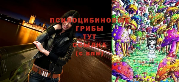 тгк Бронницы