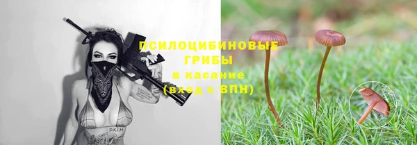 тгк Бронницы