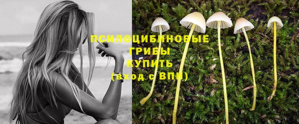 прущие крисы Бугульма