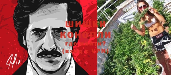 mix Бородино
