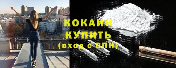 тгк Бронницы