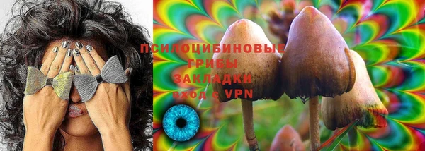 mix Бородино