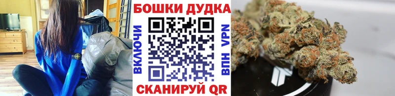 Бошки марихуана Amnesia Железногорск